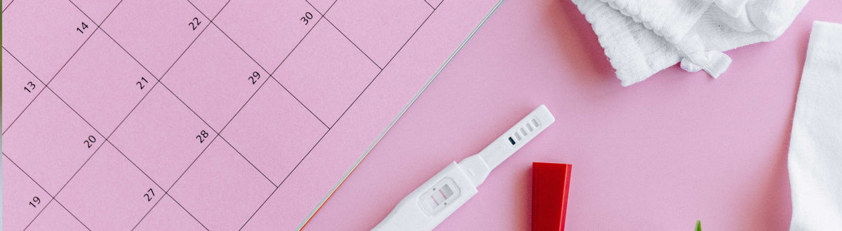 16 Weeks Pregnant: Baby's Development and Changes in Your Body ...