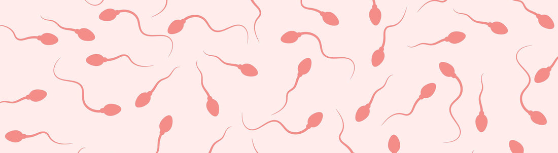 How long does sperm last after artificial insemination at home?