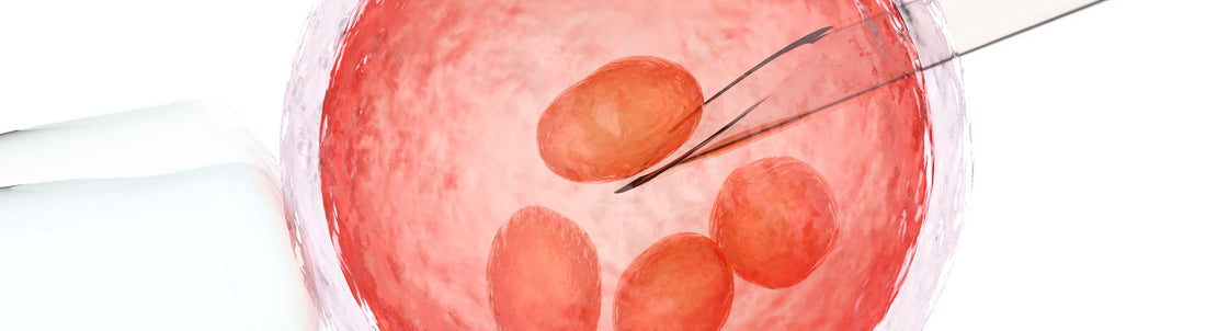 Is home insemination better than IVF?