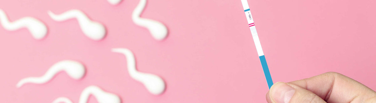 Front Inseem At Home Insemination, What is At-Home Insemination? – Inseminmate