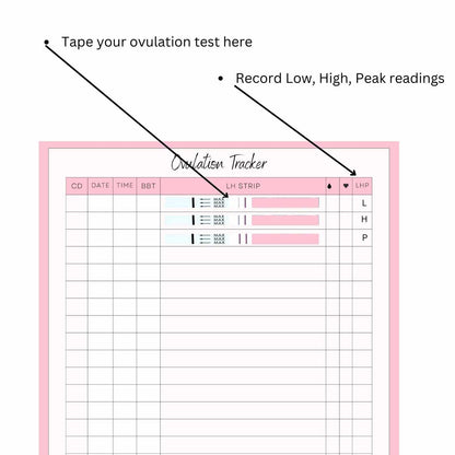 Ovulation and pregnancy tracker