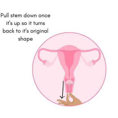 cup conception cup for getting pregnant pull the stem down so it turns back to its original place